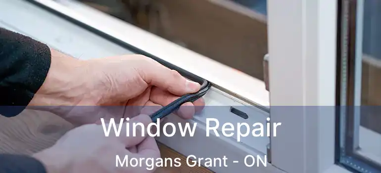  Window Repair Morgans Grant - ON