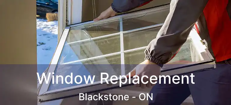  Window Replacement Blackstone - ON