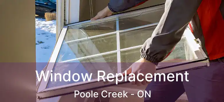  Window Replacement Poole Creek - ON