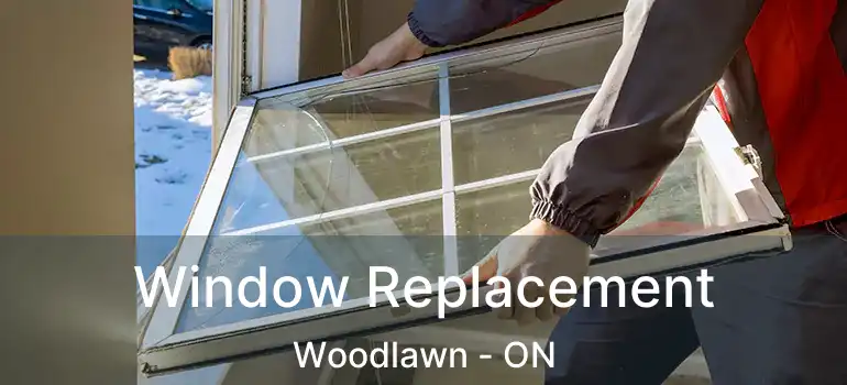  Window Replacement Woodlawn - ON