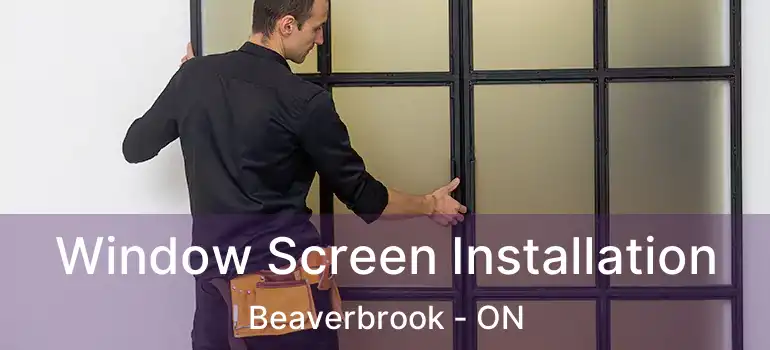  Window Screen Installation Beaverbrook - ON