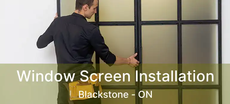  Window Screen Installation Blackstone - ON