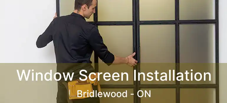  Window Screen Installation Bridlewood - ON