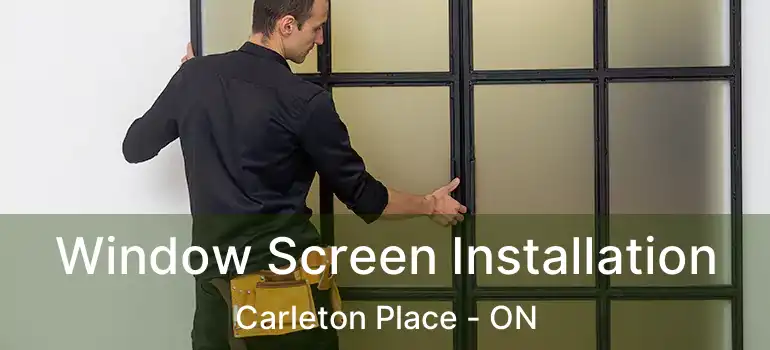  Window Screen Installation Carleton Place - ON