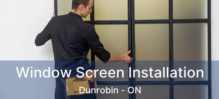  Window Screen Installation Dunrobin - ON