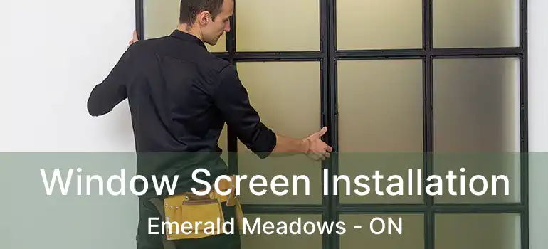  Window Screen Installation Emerald Meadows - ON