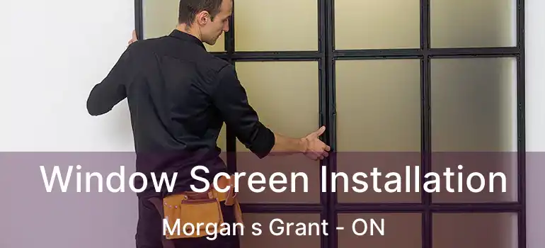  Window Screen Installation Morgan s Grant - ON