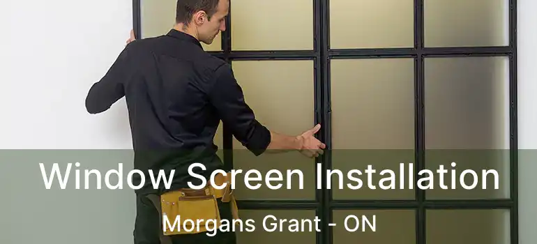  Window Screen Installation Morgans Grant - ON