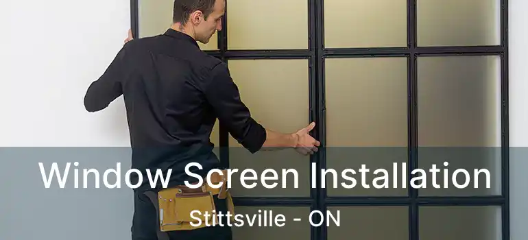  Window Screen Installation Stittsville - ON