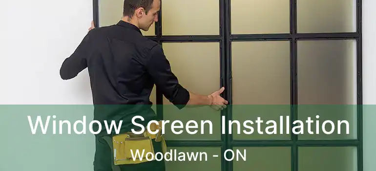  Window Screen Installation Woodlawn - ON