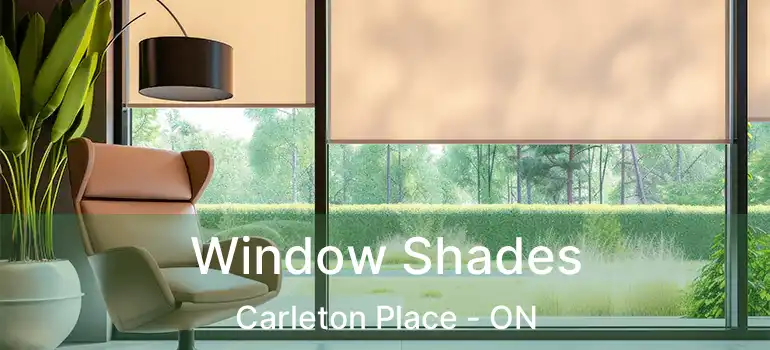  Window Shades Carleton Place - ON