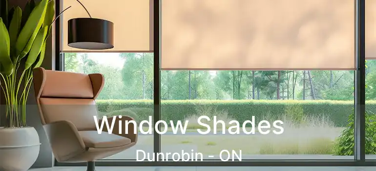  Window Shades Dunrobin - ON