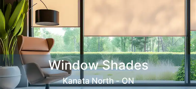  Window Shades Kanata North - ON