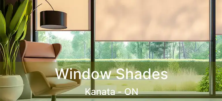  Window Shades Kanata - ON