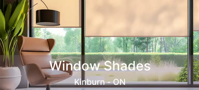  Window Shades Kinburn - ON