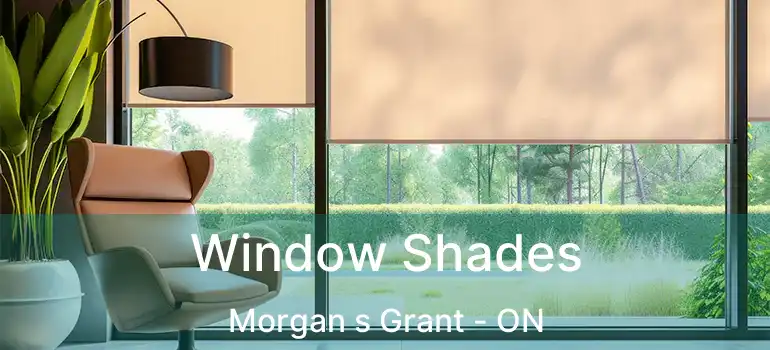  Window Shades Morgan s Grant - ON