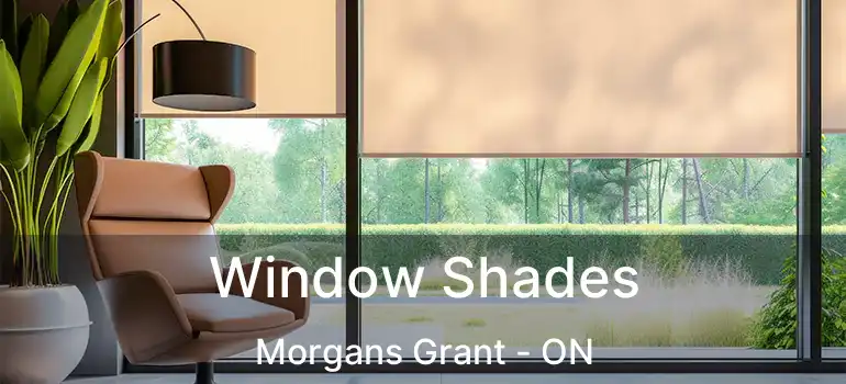  Window Shades Morgans Grant - ON