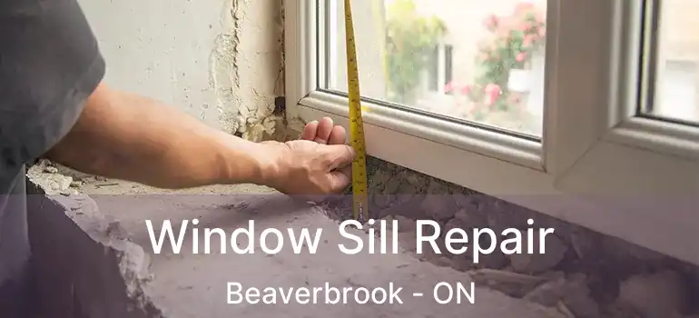  Window Sill Repair Beaverbrook - ON