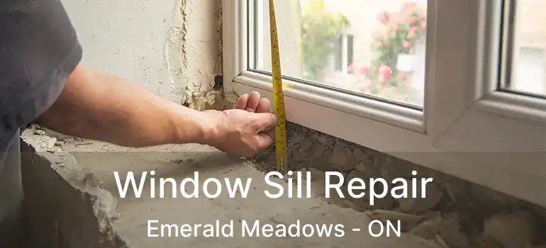  Window Sill Repair Emerald Meadows - ON