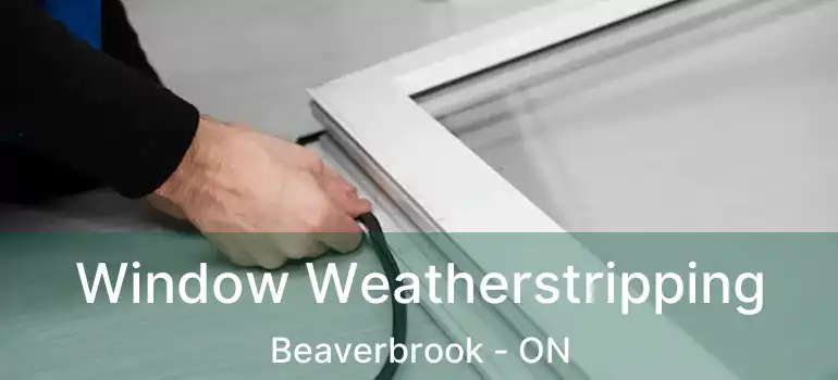  Window Weatherstripping Beaverbrook - ON