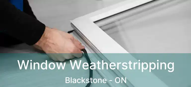  Window Weatherstripping Blackstone - ON