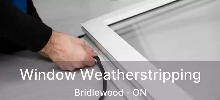  Window Weatherstripping Bridlewood - ON