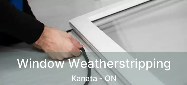  Window Weatherstripping Kanata - ON