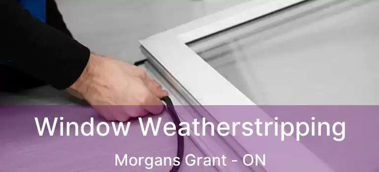  Window Weatherstripping Morgans Grant - ON