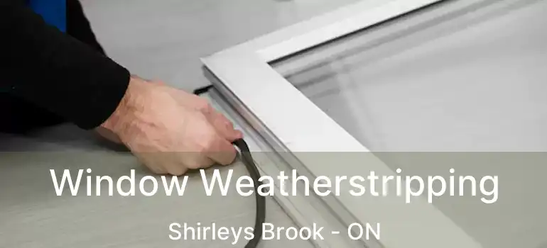  Window Weatherstripping Shirleys Brook - ON