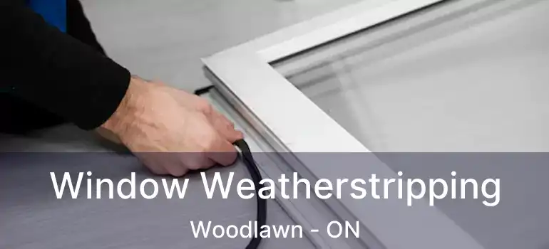  Window Weatherstripping Woodlawn - ON