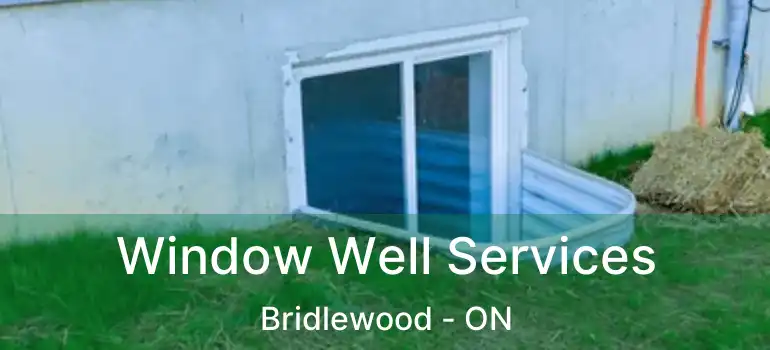  Window Well Services Bridlewood - ON