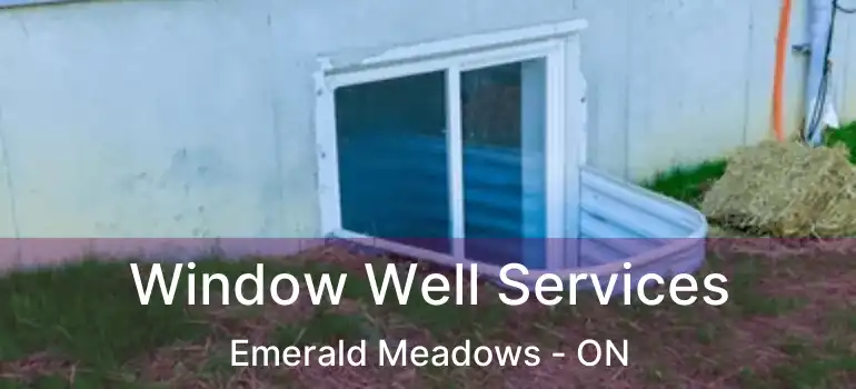  Window Well Services Emerald Meadows - ON