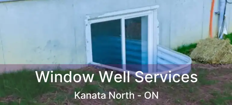  Window Well Services Kanata North - ON