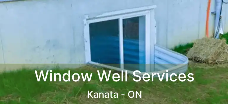  Window Well Services Kanata - ON
