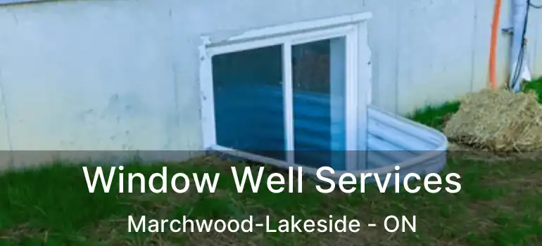 Window Well Services Marchwood-Lakeside - ON