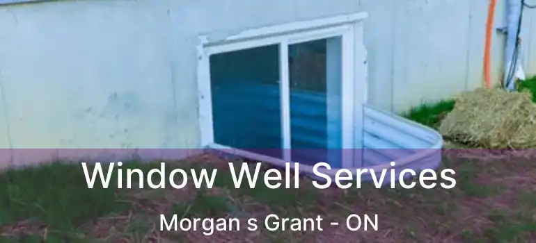  Window Well Services Morgan s Grant - ON