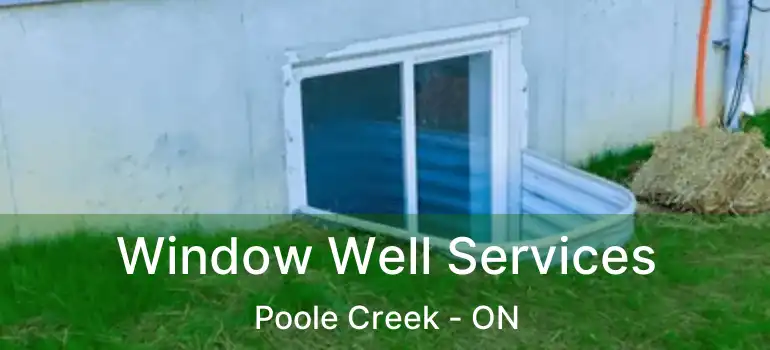  Window Well Services Poole Creek - ON