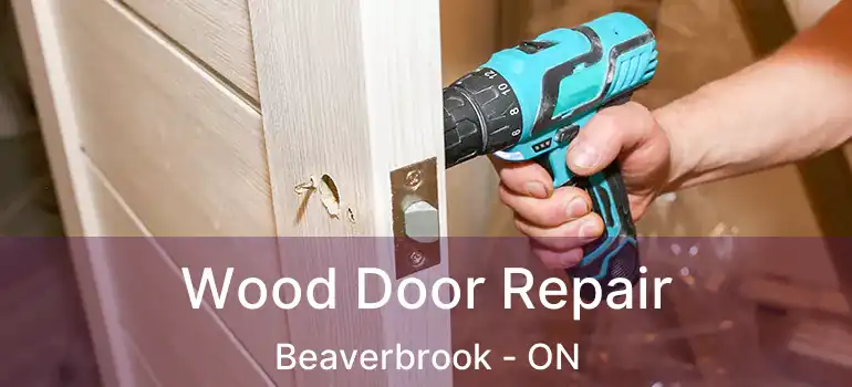  Wood Door Repair Beaverbrook - ON