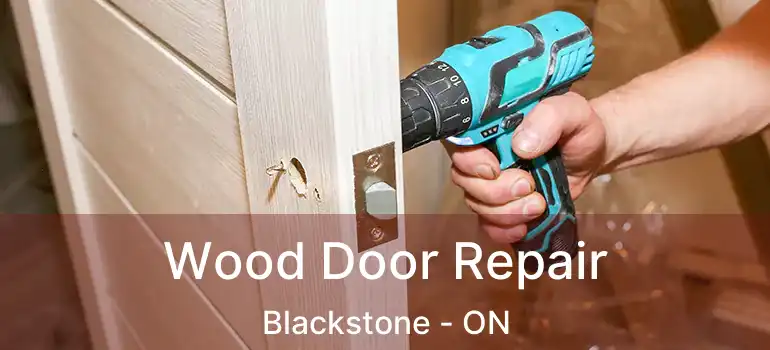  Wood Door Repair Blackstone - ON