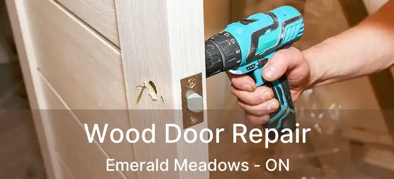  Wood Door Repair Emerald Meadows - ON